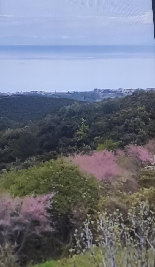Πανοραμα Βίλα Aigani Εξωτερικό φωτογραφία